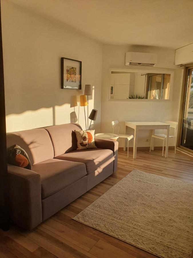 Bel Appartement A 50M De La Plage, 2 Pieces Climatisees, Parking Prive Antibes Buitenkant foto